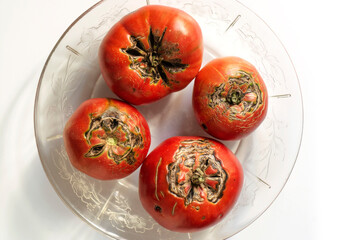 organically grown red tomatoes - 770022692