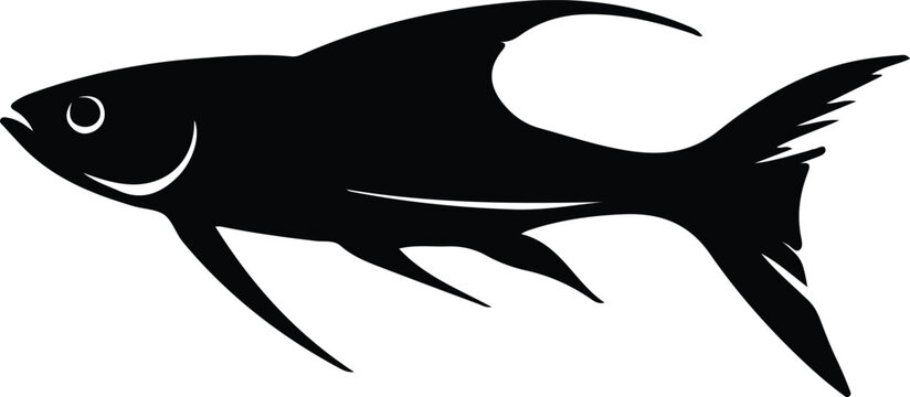 Dinichthys silhouette
