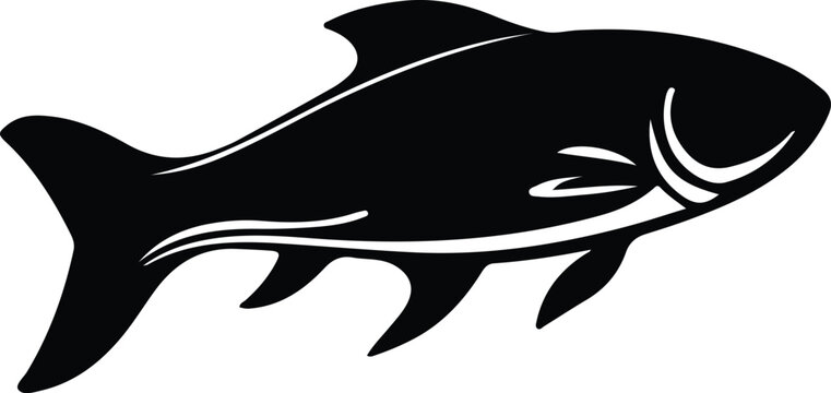 Dinichthys silhouette
