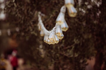 antique edison light bulbs on park background. Vintage style