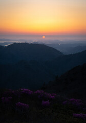 Obraz premium sunset over the mountains