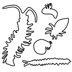 set of isolated linear icons of insects in doodle style in vector. icon template for app logo sticker poster print design