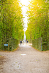Visitors walk along a tree-lined path toward a distant fountain within the historic gardens of Chateau Versailles near Paris, France