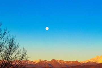 "Lunar Majesty: Explore the Mystique of the Wolf Moon with Adobe Stock"