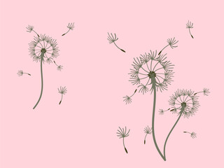 Dandelion_background2-19.eps