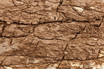 The dry ground is cracked and blue sky