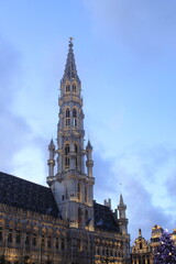 Enchantment at Dusk: Christmas Spectacle at Brussels City Hall