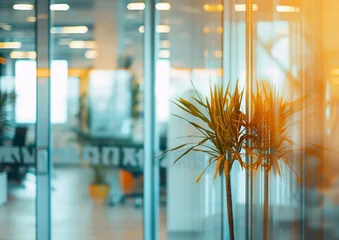 Foto op Aluminium Modern Office Space with Glass Partitions and Indoor Plant © Qstock