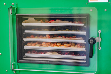 A green freeze dryer machine with a clear door, showing multiple trays filled with various types of...