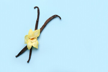Vanilla sticks with flower on color background