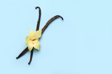 Fotobehang Vanilla sticks with flower on color background © Pixel-Shot