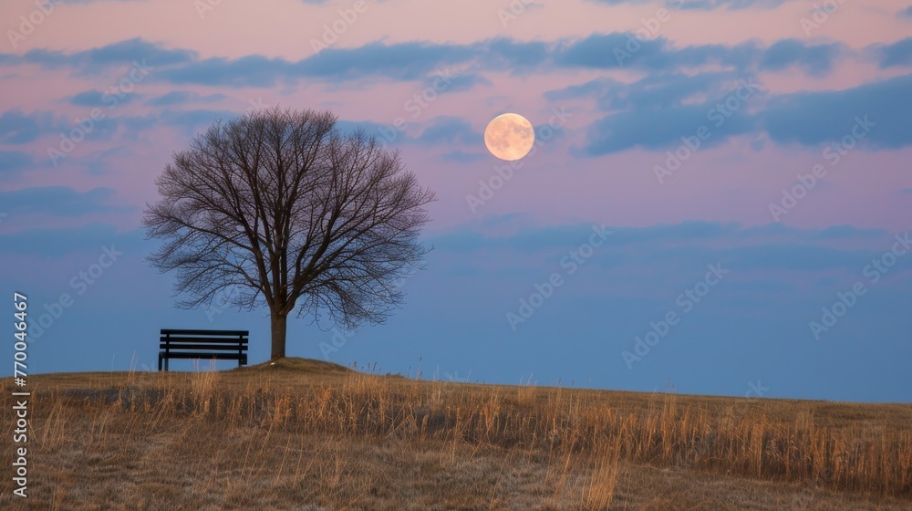 Sticker a bench beneath a tree on a hill with a moon above and a tree in front