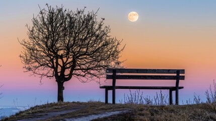 Fototapeta premium A bench under a full moon, next to a tree and a path leading up to it