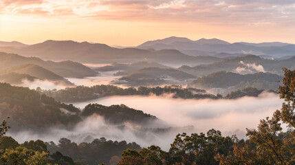  A stunning image of a mountain range with clouds below and trees in the foreground
