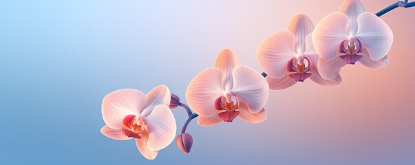 Fototapeta na wymiar Peach Cobalt Orchid gradient background barely noticeable thin grainy noise texture, minimalistic design pattern backdrop