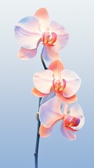 Peach Cobalt Orchid gradient background barely noticeable thin grainy noise texture, minimalistic design pattern backdrop