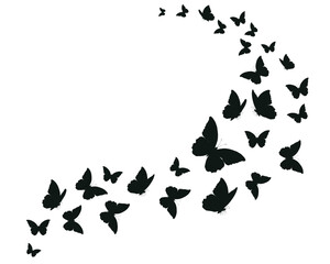 black butterfy hand drawn flock  butterflies