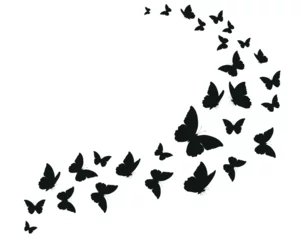 Tapeten Schmetterlinge im Grunge black butterfy hand drawn flock  butterflies