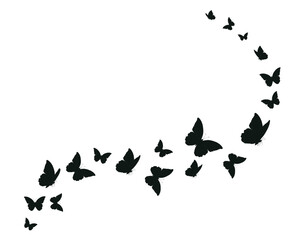 flock of black butterflies flies. Butterfly set.monarch tawny spring butterfly