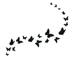Fototapete Schmetterlinge im Grunge flock of black butterflies flies. Butterfly set.monarch tawny spring butterfly