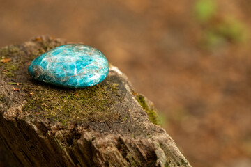 Apatite gemstone on mossy tree stump