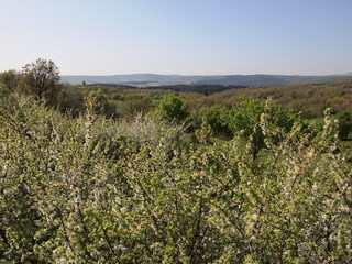 Fototapeta na wymiar Landscape in Bulgaria