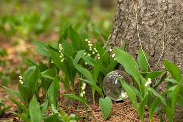 Zelfklevend Fotobehang A crystal ball set amongst lily of the valley plants © Jennifer