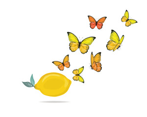 lemon fllower   flock of cololorful butterflies flies. Butterfly set.monarch tawny spring butterfly