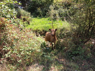 Landscape in Bulgaria