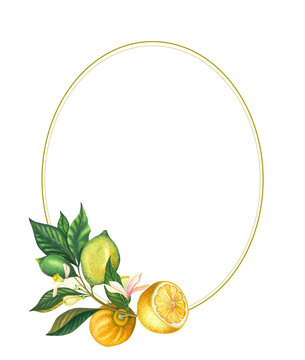 Watercolour frame with blooming lemon branch with leaves, flowers, green and yellow lemons and lime. Hand painted yellow fruits and flower isolated on white background. Fresh citrus illustration for