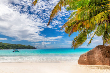 Tropical Sunny beach with palm and turquoise sea on Seychelles. Summer vacation and tropical beach concept.	 - 770063696