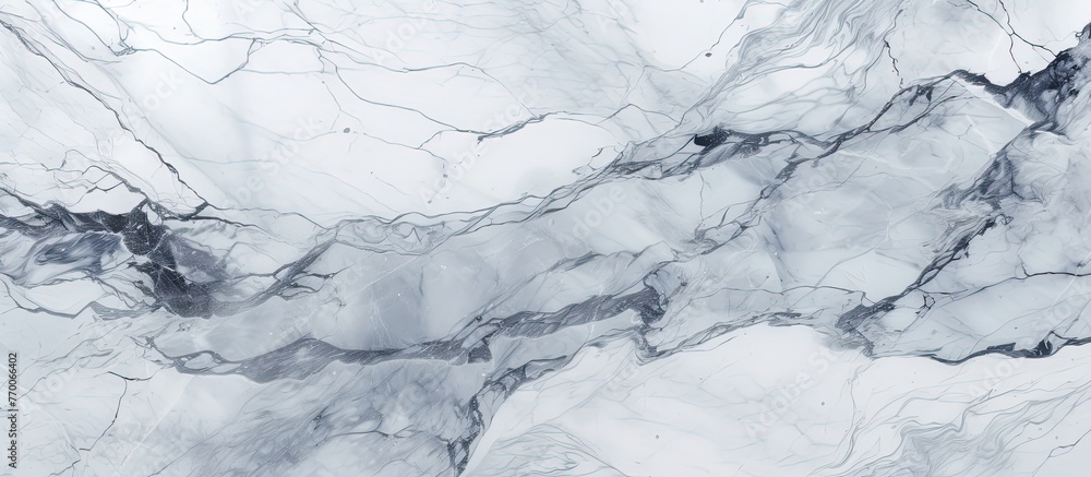 Poster detailed view of a distinct black and white patterned marble surface, showcasing intricate veining a