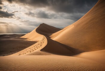 vast sandy plain with towering sand dunes under a dramatic cloudy sky. - 770068491