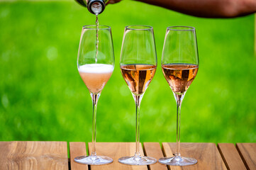 Picnic on green grass with glasses of rose champagne sparkling wine or cava, cremant produced by traditional method in caves in Champagne region, France