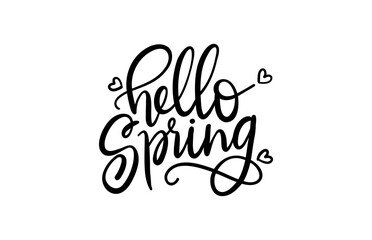 Hello Spring - lettering vector isolated on white background