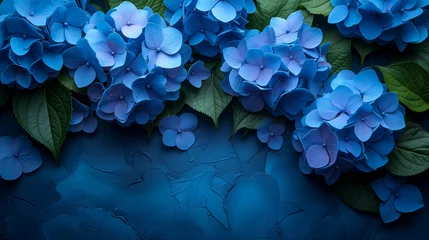 Rolgordijnen Blue hydrangea flowers on dark blue background with copy space. © Виктория Дутко