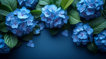 Zelfklevend Fotobehang Blue hydrangea flowers on blue background. Flat lay, top view. © Виктория Дутко