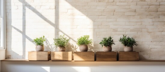 A row of houseplants in flowerpots sitting on a wooden shelf by a window, adding a touch of greenery to the room and brightening up the space