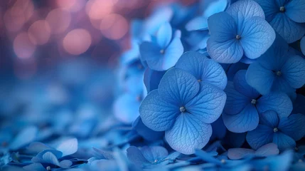Foto auf Leinwand Beautiful blue hydrangea flowers on bokeh background © Виктория Дутко