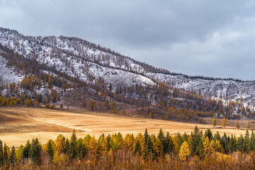 Landscape of the Altai Mountains in Siberia, Altai Republic, Russia