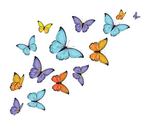 Fototapeta na wymiar colorful butterflies hand drawn