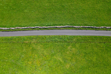 AERIAL TOP DOWN: Single track country road leading past vivid green meadows