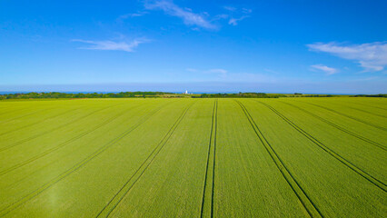 AERIAL: Colourful countryside with green and yellow fields along English coast