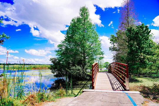 The landscape of Lake parker in Lakeland, Florida, USA