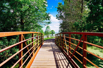 The landscape of Lake parker in Lakeland, Florida, USA	

