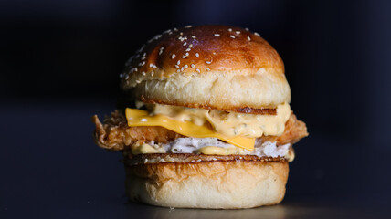 Hamburger for stock photos and menus 