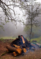 Bonfire on the middle of a foggy forest