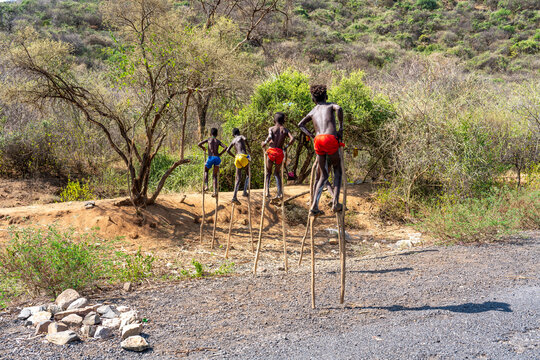 Ethiopia, near Key afer, boys from the Banna tribe walking on stilts.  