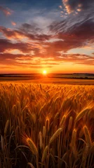Rideaux velours Rouge 2 Harvest Season at Dusk: An Idyllic Exploration of Golden Grain Fields under the Setting Sun