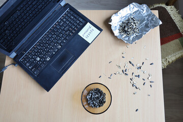 Old laptop with sticker of simple password, sunflower seeds on desk, long wait to turn on, Film...